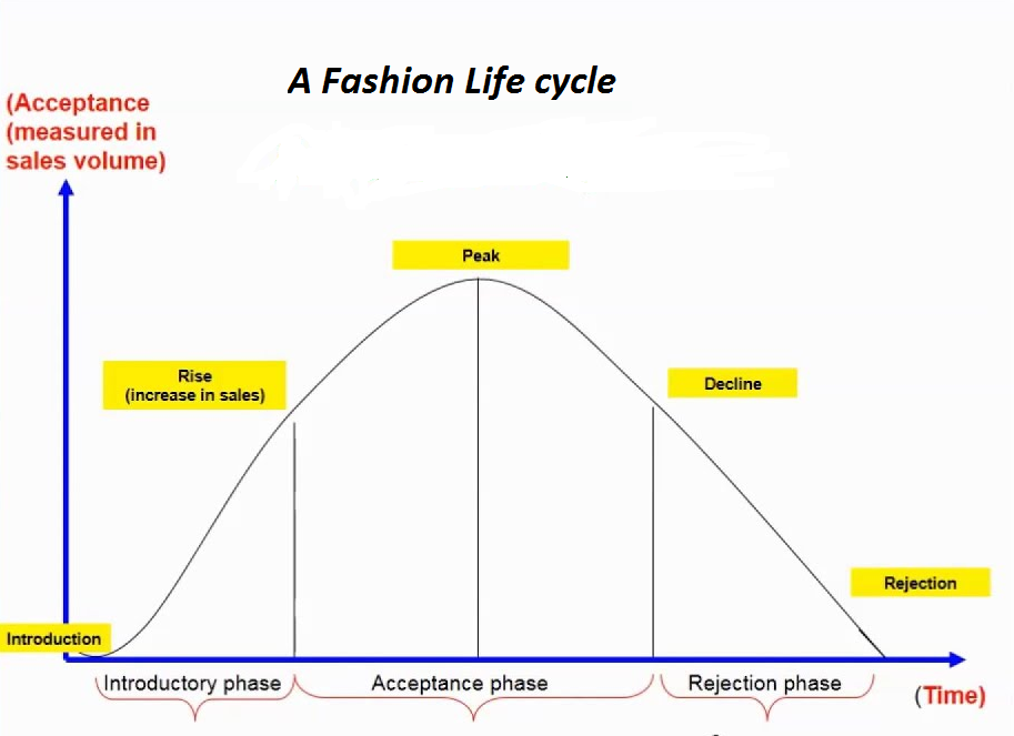 Fashion Life cycle